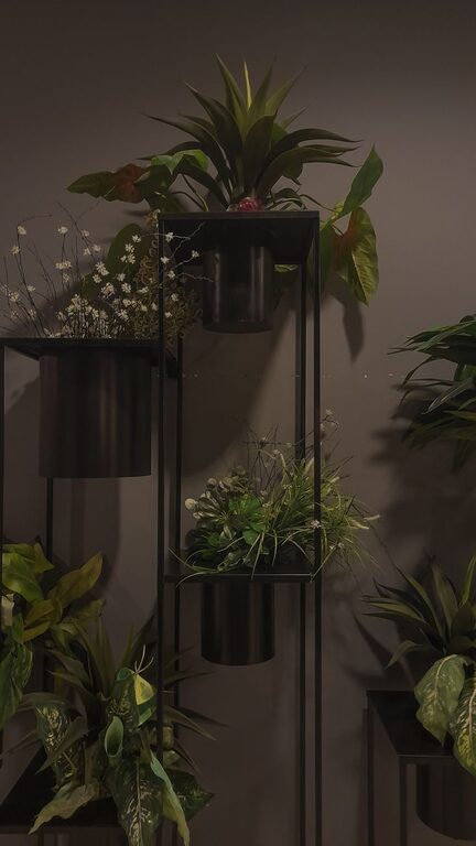 Easy Tips for Creating a Sustainable and Eco-Friendly Home